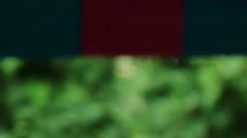 Shehbaz Sharif, primer ministro de Pakistán.