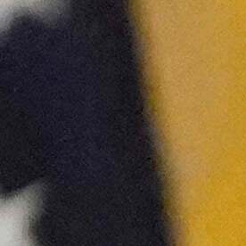 Se esperan más de 10 millones de visitantes en 11 ciudades de EE.UU.