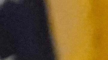 Se esperan más de 10 millones de visitantes en 11 ciudades de EE.UU.