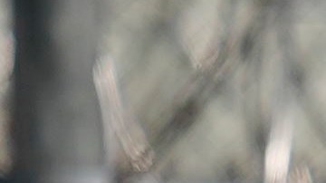 Cárcel de ICE en Folkston, Georgia