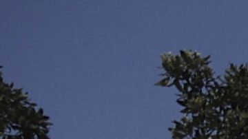 Trabajadores del SoFi Stadium amenazan con huelga por mejoras salariales antes del Mundial 2026