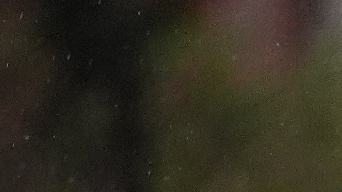 La policía de Texas capturó a la mujer.