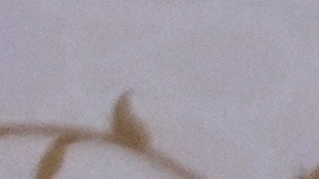 El presidente iraní, Masoud Pezeshkian.