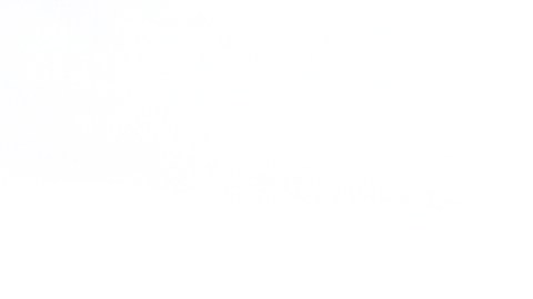 El fallo determinará el destino de aproximadamente 360,000 migrantes de Haití y Siria.