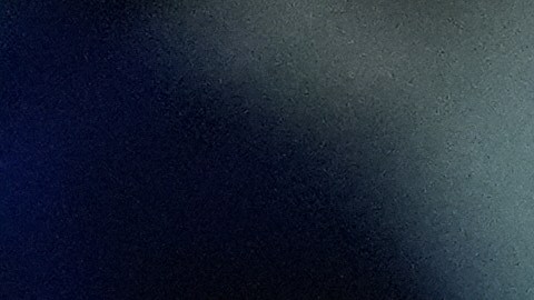 La comunidad haitiana en EE.UU. pide la extensión del TPS.