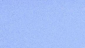 Presidente de Colombia, Gustavo Petro