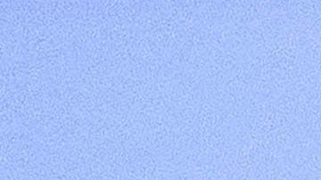 Presidente de Colombia, Gustavo Petro