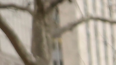 Un manifestante arrastra una efigie del expresidente venezolano Nicolás Maduro frente a un tribunal federal de Manhattan, antes de una audiencia preliminar en el caso de narcotráfico que se le sigue, el jueves 26 de marzo de 2026, en Nueva York.