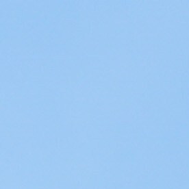 Ciudadanía por nacimiento en la Corte Suprema