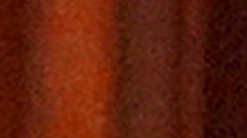 Conferencia de prensa de Donald Trump