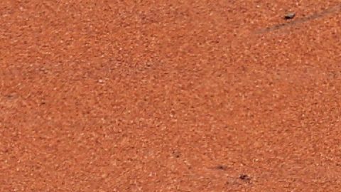 El campocorto de los Dodgers de Los Ángeles, Mookie Betts, lanza a primera base para conseguir un out tras un batazo de Luis García Jr., de los Nationals de Washington, durante la primera entrada de un partido de béisbol, el viernes 3 de abril de 2026, en Washington.