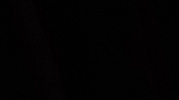 El papa prefirió utilizar un enfoque global para pedir por la paz.