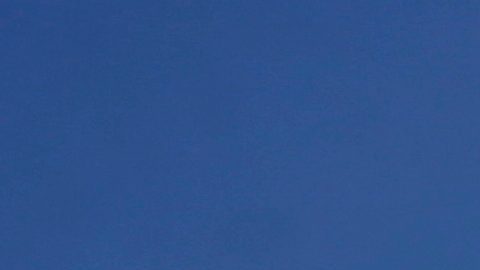 Los defensores de la privacidad y algunas especialistas legales consideran que las búsquedas por geolocalización constituyen una redada que implica a personas inocentes.