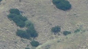 Tras la corrección de rumbo, el vuelo aterrizó sin registrar novedades adicionales.