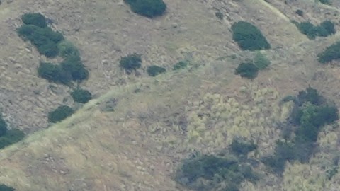 Tras la corrección de rumbo, el vuelo aterrizó sin registrar novedades adicionales.