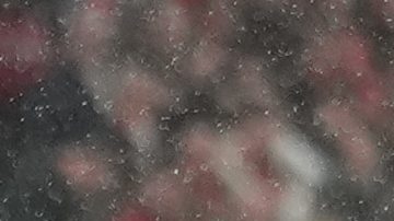¿Cuánto dinero se llevan Atlético Madrid y PSG por pasar a semifinales de la Champions League?