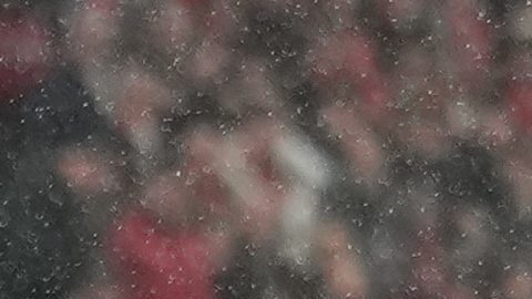 ¿Cuánto dinero se llevan Atlético Madrid y PSG por pasar a semifinales de la Champions League?