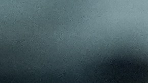 New York Mets catcher Francisco Alvarez looks away as Los Angeles Dodgers' Kyle Tucker celebrates his home run with Freddie Freeman during the eighth inning of a baseball game Wednesday, April 15, 2026, in Los Angeles. (AP Photo/Jae C. Hong)