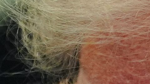 Trump ha hecho un gran esfuerzo por fortalecer la industria estadounidense del petróleo y el gas, que donó más de $75 millones de dólares a su campaña.