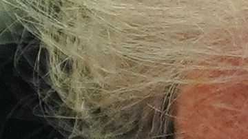 Donald Trump en conferencia de prensa