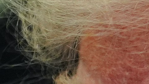 Donald Trump en conferencia de prensa