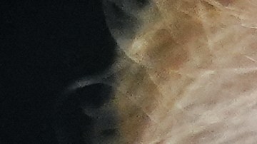 El presidente Donald Trump pronuncia un discurso en el Despacho Oval de la Casa Blanca, el sábado 18 de abril de 2026, en Washington.