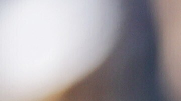 Cody Bellinger, de los Yankees de Nueva York, observa su jonrón de dos carreras durante la sexta entrada de un partido de béisbol contra los Reales de Kansas City, el sábado 18 de abril de 2026, en Nueva York. (AP Foto/Adam Hunger)