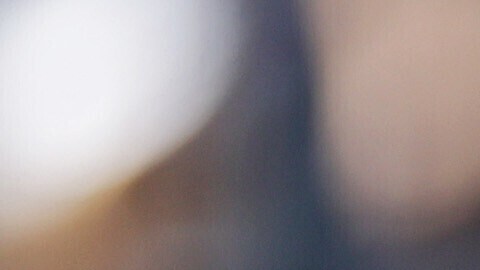 Cody Bellinger, de los Yankees de Nueva York, observa su jonrón de dos carreras durante la sexta entrada de un partido de béisbol contra los Reales de Kansas City, el sábado 18 de abril de 2026, en Nueva York. (AP Foto/Adam Hunger)