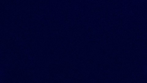 Presidente de EE.UU, Donald Trump