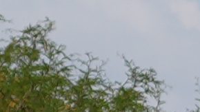 La policía patrulla las pirámides luego de que las autoridades informaran que un hombre armado abrió fuego en Teotihuacán.