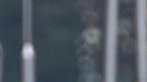 El portavoz del Ministerio de Exteriories iraní señaló que su país no fue el que inició la guerra.