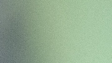 Presidente de EE.UU., Donald Trump