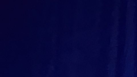 Agentes del Servicio Secreto rodean a Donald Trump antes de que fuera retirado del escenario tras un tiroteo.