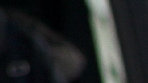 Departamento de Justicia no ha dicho cuándo se reanuda el programa.