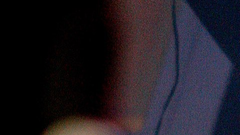 Alan Osmond formó parte del grupo musical “The Osmonds”.