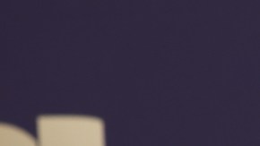 El cantante ha compartido con la modelo en algunos de sus conciertos