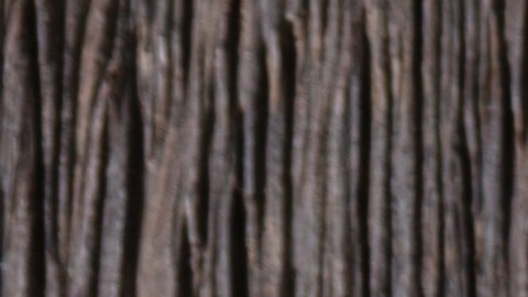 El secreto para un Arroz con Pollo que no dispara tu glucosa