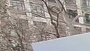 Bodegueros de NYC temen que tiendas comunales promovidas por el alcalde Mamdani afecten sus negocios.