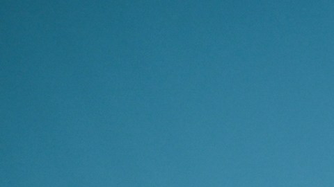 Bryan Cranston es parte de la miniserie “Malcolm in the Middle: Life's Still Unfair”.