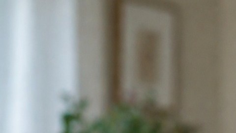 Cambiar de plan o proveedor de celular puede representar un ahorro de hasta $600 al año, sin sacrificar calidad.