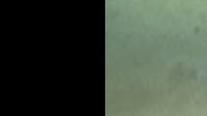 Los oficiales se encontraron de inmediato con el hombre armado y le ordenaron varias veces que soltara el cuchillo.