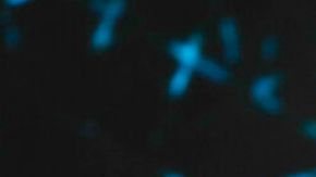 El artista grabó una versión especial que conquistó a sus seguidores