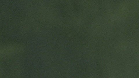 Catherine O'Hara murió el 30 de enero de este año.