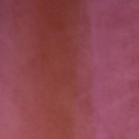 La modelo dominicana repite en la placa.