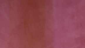 La dominicana estaba siendo bastante apoyada por el público entre los nominados