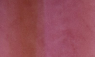 La dominicana estaba siendo bastante apoyada por el público entre los nominados