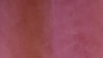 La dominicana estaba siendo bastante apoyada por el público entre los nominados