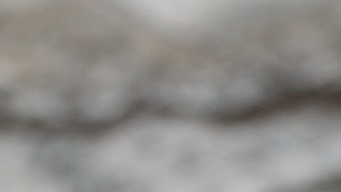 Una tortilla de atún —rica en proteína y Omega-3— acompañada de una ensalada de hojas verdes para asegurar una dosis óptima de antioxidantes y fibra antes de dormir.