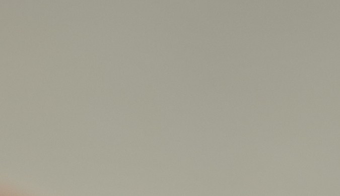 Clavos de olor sobre fondo gris