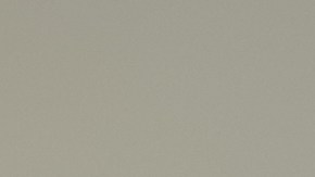 Clavos de olor sobre fondo gris